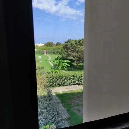 La Pergola Pelosa