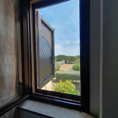 La Pergola Pelosa